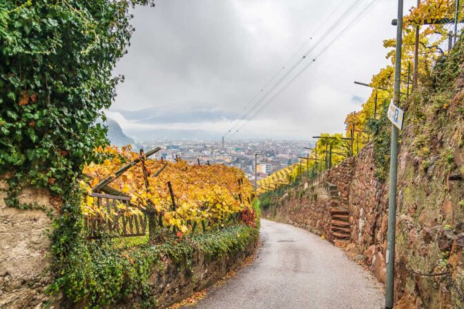 Von Bozen hinauf nach St. Magdalena - Via Alpina (Gelber Weg)