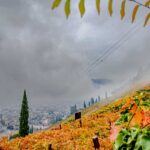 Bolzano, Bozen, Herbst, Landeshauptstadt Südtirol, St. Magdalena, autumn, autunno