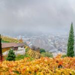 Bolzano, Bozen, Herbst, Landeshauptstadt Südtirol, St. Magdalena, autumn, autunno