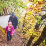 Herbst, Hörtenberg, autumn, autunno, passeggiare, spazieren, spazieren gehen, wandern