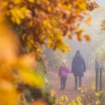 Herbst, Hörtenberg, Regenspaziergang, Regenwanderung, autumn, autunno