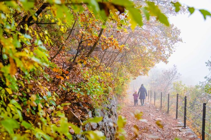 Die Via Romea (Rom Pilgerweg) auf dem Hörtenberg