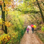 Bolzano, Bozen, Landeshauptstadt Südtirol, Oswaldpromenade, Promenade, Regen, Regenschirm, Regenspaziergang, Regentag