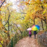 Bolzano, Bozen, Landeshauptstadt Südtirol, Oswaldpromenade, Promenade, Regen, Regenschirm, Regenspaziergang, Regentag