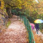 Bolzano, Bozen, Landeshauptstadt Südtirol, Oswaldpromenade, Promenade, Regen, Regenschirm, Regenspaziergang, Regentag