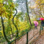 Bolzano, Bozen, Landeshauptstadt Südtirol, Oswaldpromenade, Promenade, Regen, Regenschirm, Regenspaziergang, Regentag