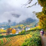 Bolzano, Bozen, Landeshauptstadt Südtirol, Oswaldpromenade, Promenade, Regenspaziergang