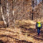 Herbst, Mitterberg, autumn, autunno, wandern