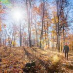 Herbst, Mitterberg, autumn, autunno, wandern