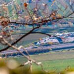 Autobahn, Brennerautobahn, Herbst, Mitterberg, Raststätte, autumn, autunno