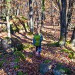 Herbst, Mitterberg, autumn, autunno, wandern