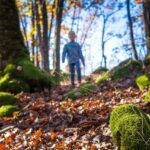 Herbst, Mitterberg, Moos, autumn, autunno, wandern