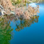 Laghi di Monticolo, Montiggler See, Montiggler Seen