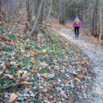 Montiggler Wald, passeggiare, spazieren, spazieren gehen