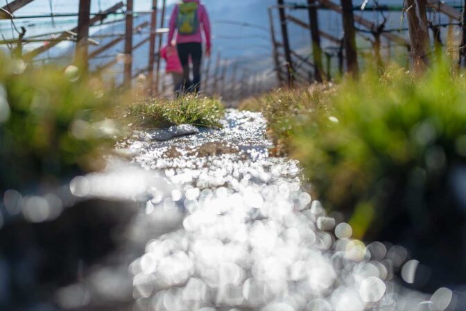 Der Angelbach entwässert das Frühlingstal und fließt anschließend mitten durch die Weinberge