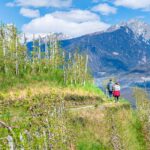 Blütezeit, Frühjahr, Frühling, Früjahr, Spaziergänger, Waalweg, Wanderweg, passeggiare, sentiero, spazieren, spazieren gehen