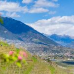 Apfelbaumblüte, Apfelblüte, Blütezeit, Frühjahr, Frühling, Früjahr, Meran, Waalweg, apple blossom