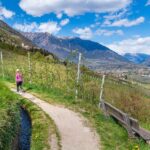 Blütezeit, Frühjahr, Frühling, Früjahr, Meran, Waalweg, Wanderweg, sentiero