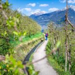 Blütezeit, Frühjahr, Frühling, Früjahr, Spaziergänger, Waalweg, Wanderer, Wanderweg, passeggiare, sentiero, spazieren, spazieren gehen, wandern