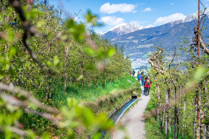 Auch Wandergruppen schätzen dem gemütlichen Waalweg