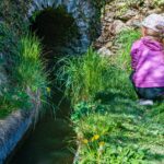 Blütezeit, Frühjahr, Frühling, Früjahr, Kinder, Waalweg, Wasser