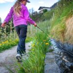 Blütezeit, Frühjahr, Frühling, Früjahr, Kinder, Waalweg, spielen