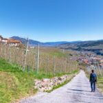 Cammino Jacopeo d’Anaunia, Nonsberg, Nonstal, Tassullo, Val di Non, Valle di Non, wandern