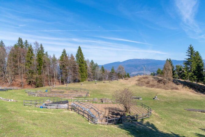 Die Alm Malga Boiara Bassa oberhalb von Cles