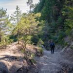 Weg, cammino, wandern, way