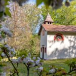 Blütezeit, Frühjahr, Frühling, Früjahr, Gotteshaus, Kirche, Sulzhof, chiesa, church