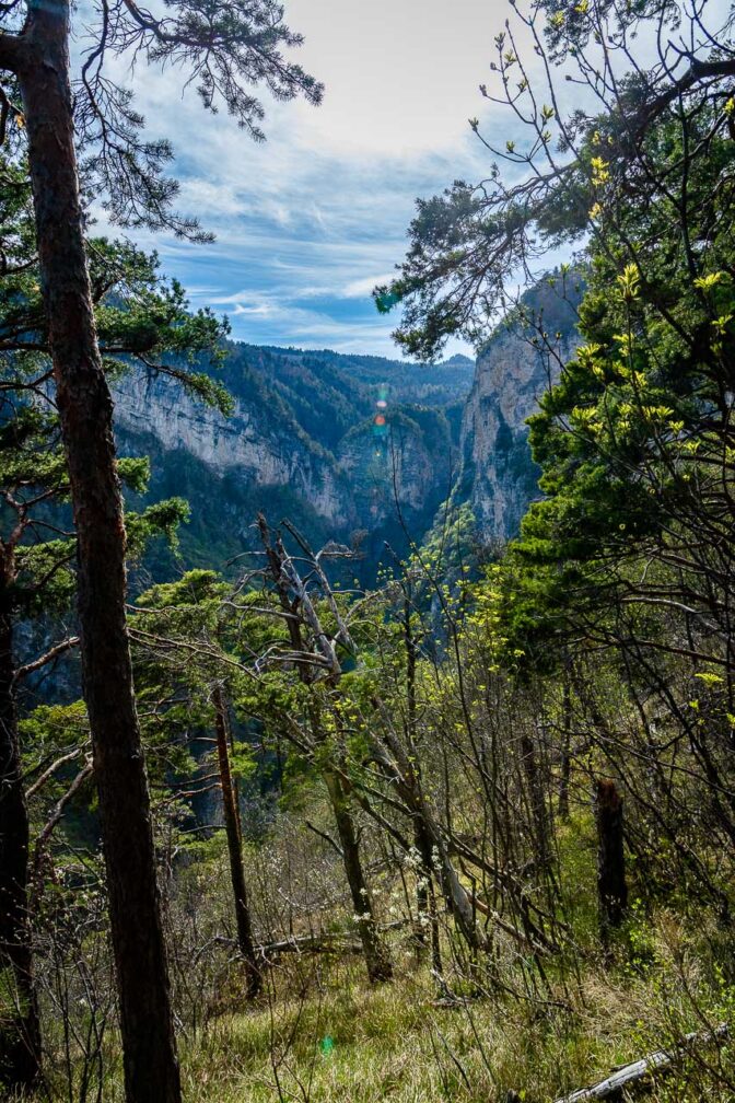 Blick hinein in die Fenner Schlucht