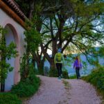 Abendstimmung, Blütezeit, Frühjahr, Frühling, Früjahr, Kurtatsch, Zürgelbaum, passeggiare, spazieren, spazieren gehen, wandern