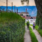 Abendstimmung, Blütezeit, Frühjahr, Frühling, Früjahr, Kurtatsch, passeggiare, spazieren, spazieren gehen, wandern