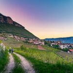 Abendstimmung, Blütezeit, Frühjahr, Frühling, Früjahr, Kurtatsch, passeggiare, spazieren, spazieren gehen, wandern