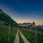 Abendstimmung, Blütezeit, Frühjahr, Frühling, Früjahr, Kurtatsch, Strehlburg, Weinberge