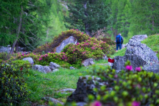 Kurz vor der Latschinger Alm