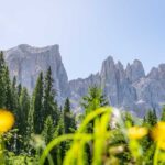 Latemar, Latemartürme, Östliche Latemarspitze