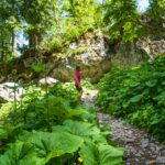 Labyrinth-Steig, Latemargebiet