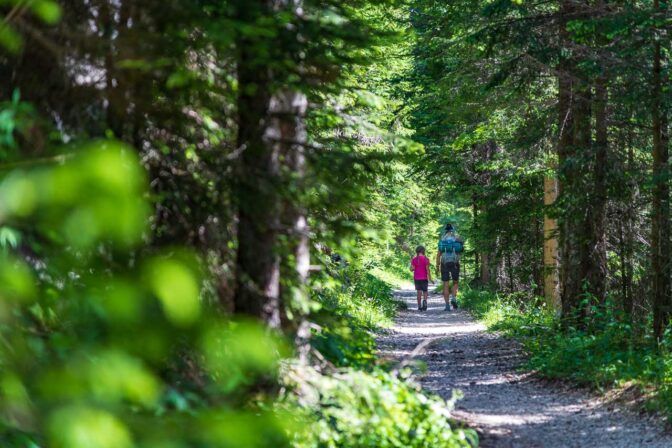 Gemütlicher Wandersteig