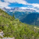 Catinaccio, Latschen, Rosengarten, Rosengartengruppe, wandern