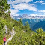 Catinaccio, Latschen, Rosengarten, Rosengartengruppe, wandern