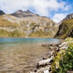 Bergsee, Wilder See