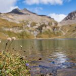 Bergsee, Wilder See