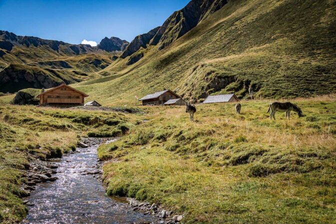 Abschied von der Labesebenalm