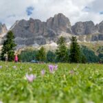 Herbstzeitlose, Rosengartenspitze, Schupfenfest