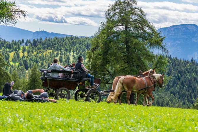 Die Saltner Sonne genießen, sich per Kutsche über den Salten chauffieren lassen