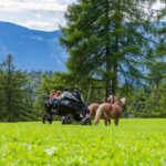 Haflinger, Kutsche, Kutschenfahrt, Salten, Schupfenfest Jenesien