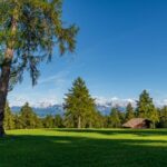 Dolomitenblick, Lärchenwiese, Salten