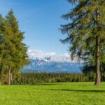 Dolomitenblick, Lärchenwiese, Salten