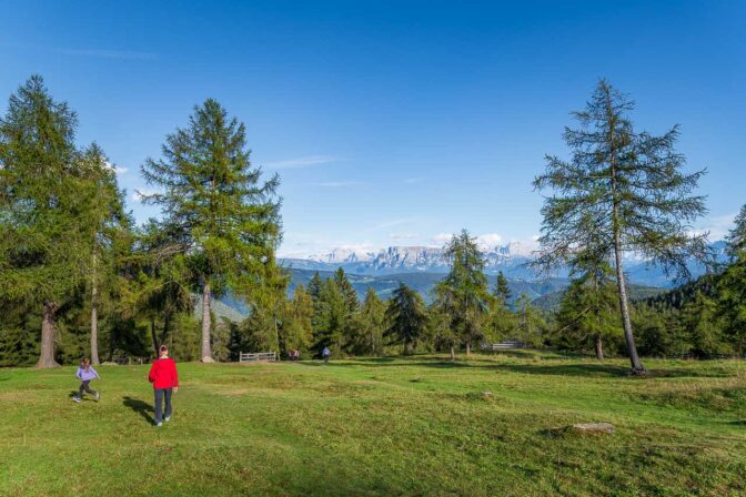 Mit tollem Dolomitenblick vom Salten hinunter zum Tomanegger